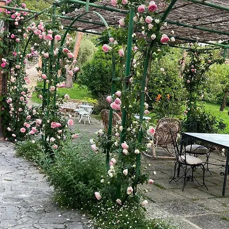 Dimora Rosa Bianca Affittacamere *