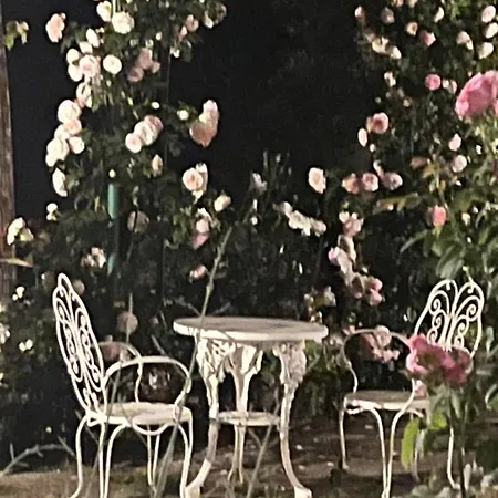 Dimora Rosa Bianca Macerata